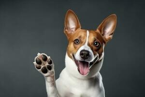 ai generado adorable marrón y blanco basenji perro sonriente y extensión alegría foto