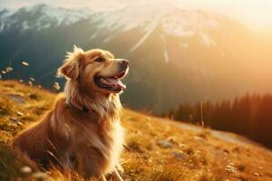 ai generado gracioso montaña perro disfrutando hora en el campo con amplio Copiar espacio foto