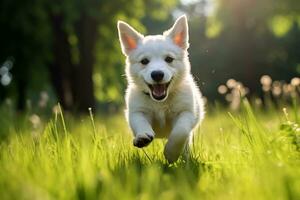 ai generado un juguetón y contento mascota perro perrito corriendo en el primavera foto