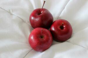 Three fresh red apples on a clean white blanket stock photo for backgrounds