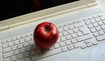 Red apple on a white computer keyboard with latin characters only stock photo