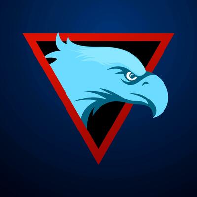 EAGLE HEAD LOGO. Eagle Logo design. Eagle head design with a red triangle. Eagle head vector design illustration. Eagle icons.