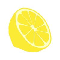 Half lemon single object isolated vector illustration in trendy flat design. Fresh summer fruit clipart on white background. Scalable print ready element. For logo, web, package, sticker.