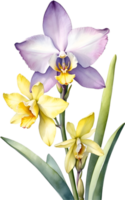 ai generado acuarela pintura de orquídea flor. generado por ai png