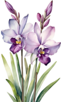 AI generated Watercolor painting of Orchid flower. Ai-Generated png