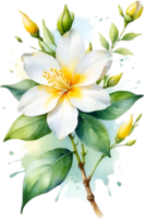 AI generated Watercolor painting of Jasmine flower. Ai-Generated png