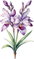 ai generado acuarela pintura de orquídea flor. generado por ai png