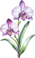 AI generated Watercolor painting of Orchid flower. Ai-Generated png
