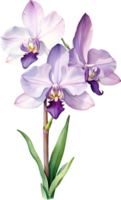 ai generato acquerello pittura di orchidea fiore. ai-generato png