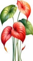 AI generated Watercolor painting of Anthurium flower. Ai-Generated png