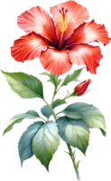 AI generated Watercolor painting of Hibiscus flower. Ai-Generated png