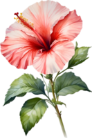 AI generated Watercolor painting of Hibiscus flower. Ai-Generated png