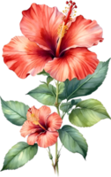 AI generated Watercolor painting of Hibiscus flower. Ai-Generated png