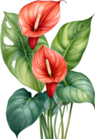 AI generated Watercolor painting of Anthurium flower. Ai-Generated png