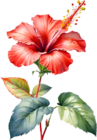 AI generated Watercolor painting of Hibiscus flower. Ai-Generated png