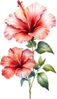 ai genererad vattenfärg målning av hibiskus blomma. ai-genererad png