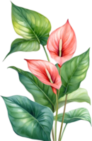 AI generated Watercolor painting of Anthurium flower. Ai-Generated png