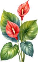 AI generated Watercolor painting of Anthurium flower. Ai-Generated png