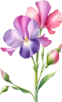 AI generated Watercolor painting of Sweet Pea Flower. Ai-Generated png