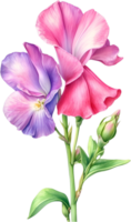 AI generated Watercolor painting of Sweet Pea Flower. Ai-Generated png