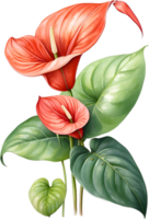 AI generated Watercolor painting of Anthurium flower. Ai-Generated png