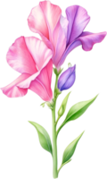 AI generated Watercolor painting of Sweet Pea Flower. Ai-Generated png