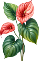 ai genererad vattenfärg målning av anthurium blomma. ai-genererad png