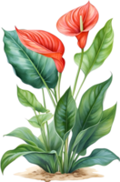 AI generated Watercolor painting of Anthurium flower. Ai-Generated png