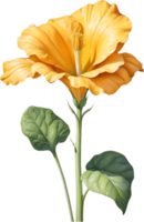 AI generated Watercolor painting of Squash flower. Ai-Generated png