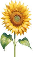 AI generated Watercolor painting of Sunflower. Ai-Generated png