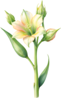 AI generated Watercolor painting of Okra flower. Ai-Generated png