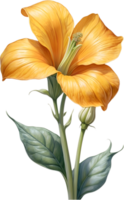 AI generated Watercolor painting of Squash flower. Ai-Generated png