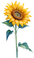 AI generated Watercolor painting of Sunflower. Ai-Generated png