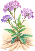 ai generiert Aquarell Gemälde von Wüste Sand Eisenkraut Blume. KI-generiert png