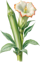 AI generated Watercolor painting of Okra flower. Ai-Generated png
