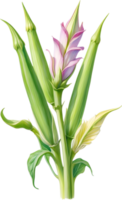 AI generated Watercolor painting of Okra flower. Ai-Generated png