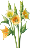 AI generated Watercolor painting of Okra flower. Ai-Generated png