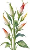 ai gegenereerd waterverf schilderij van okra bloem. ai-gegenereerd png