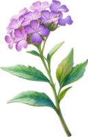 ai gegenereerd waterverf schilderij van woestijn zand verbena bloem. ai-gegenereerd png