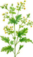 AI generated Watercolor painting of Coriander flowers. Ai-Generated png