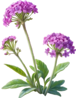 ai gerado aguarela pintura do deserto areia verbena flor. gerado por IA png