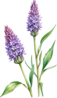 AI generated Watercolor painting of Lavender flower. Ai-Generated png