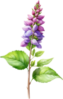 AI generated Watercolor painting of holy basil flower. Ai-Generated png