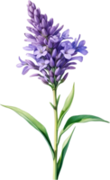 ai genererad vattenfärg målning av lavendel- blomma. ai-genererad png