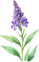 ai genererad vattenfärg målning av lavendel- blomma. ai-genererad png