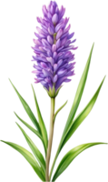 AI generated Watercolor painting of Lavender flower. Ai-Generated png