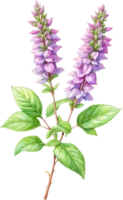 AI generated Watercolor painting of holy basil flower. Ai-Generated png