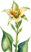 AI generated Watercolor painting of Okra flower. Ai-Generated png