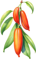 AI generated Watercolor painting of Scarlet Emperor Runner Beans flower. Ai-Generated png