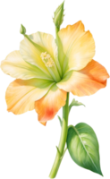 AI generated Watercolor painting of Okra flower. Ai-Generated png